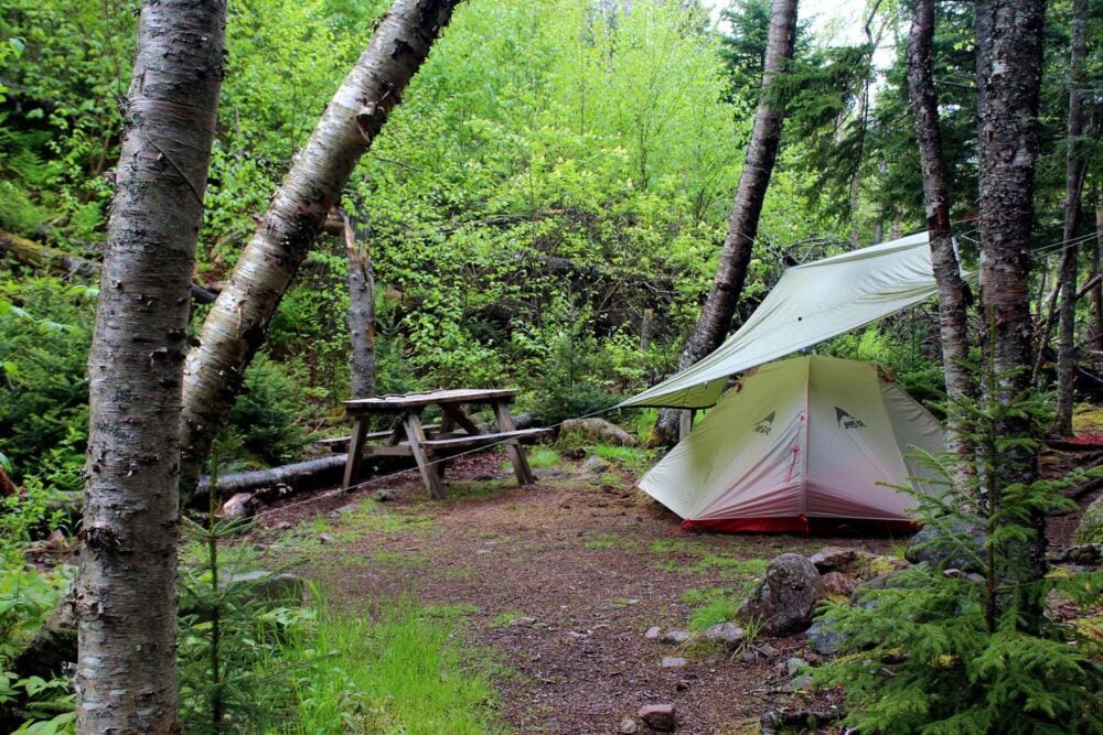 Tent, tarp and picnic table in forested campsite in Refugee Cove campground on the Cape Chignecto Coastal Trail