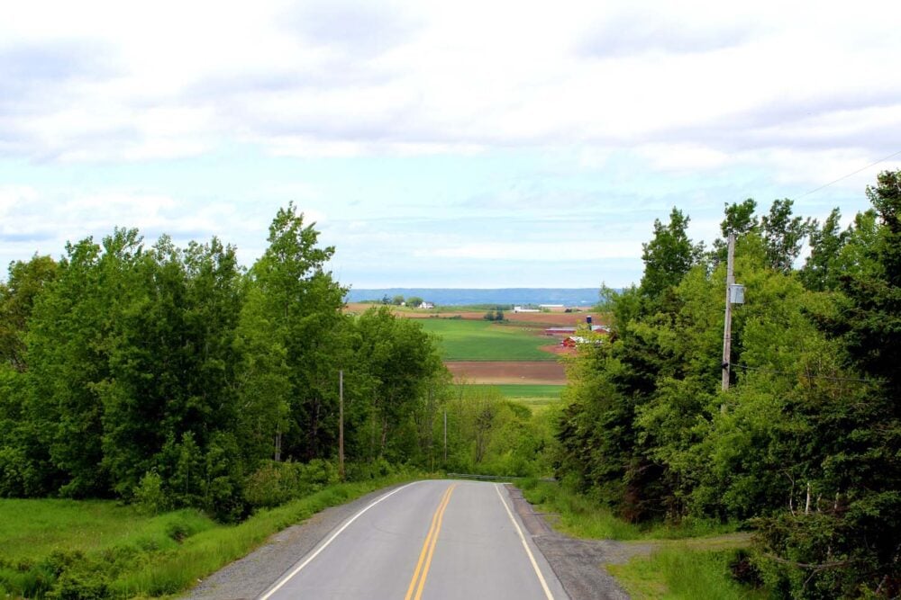 Looking down on the road from the top deck of the Magic Winery Bus, towards the agricultural landscape of the Wolfville area