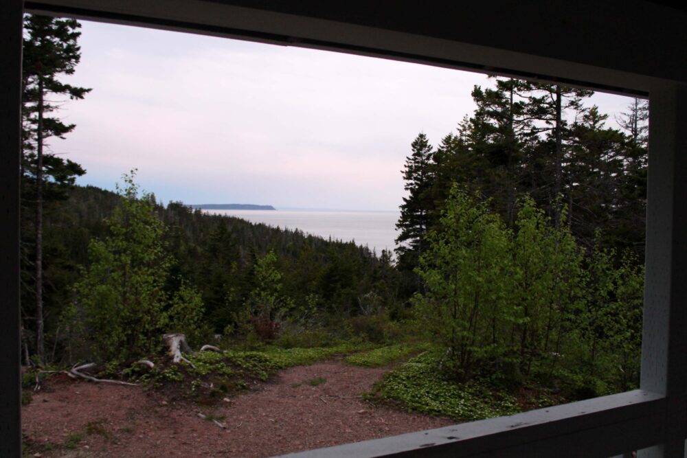 views of the forest and ocean from big bald cabin cape chignecto hike
