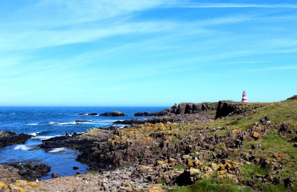 Brier Island coastline with small basalt columns falling into ocean, with red and whit striped lighthouse on hill in background