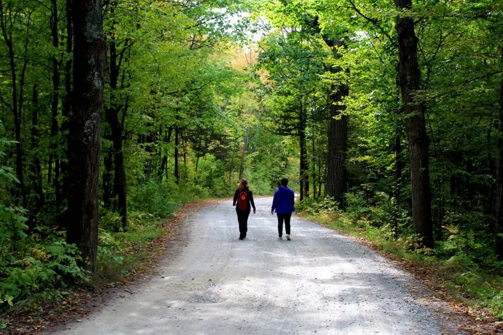 walking the trails in ferris provincial park campbellton ontario