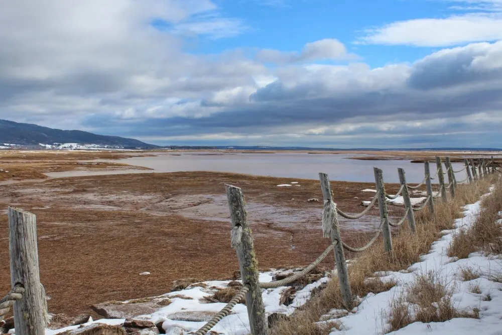 Fence in front of frozen coastal landscape
