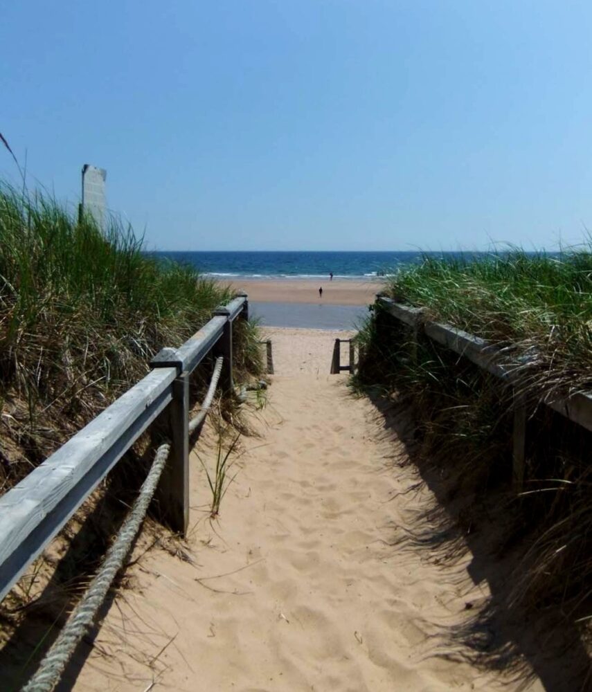 Sandy boardwalk bordered by sand dunes, leading to Basin Head beach