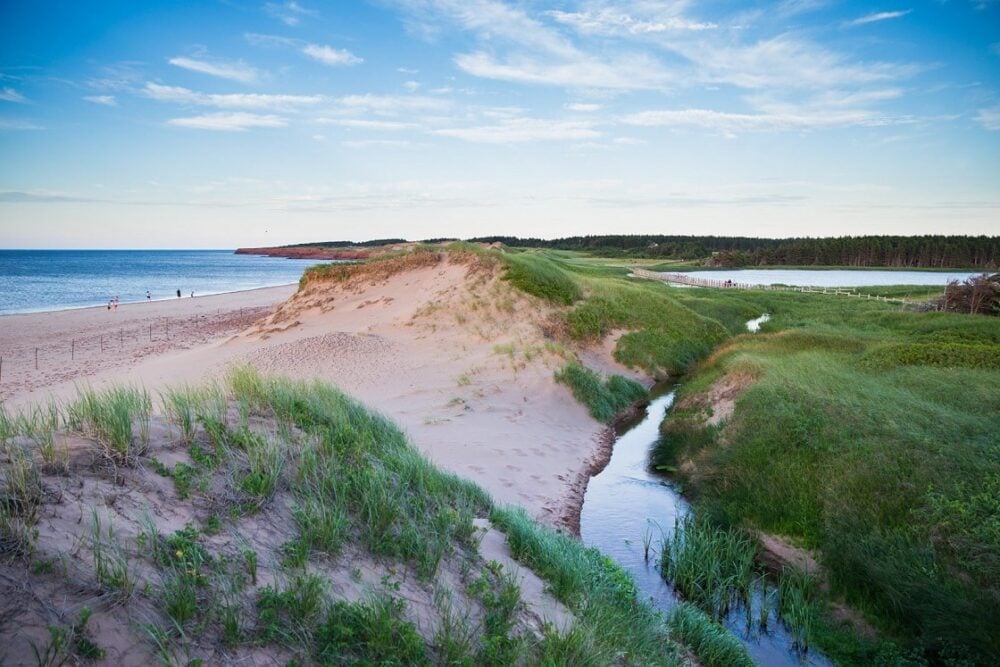 View from golden beach dunes towards ocean, Cavendish beach