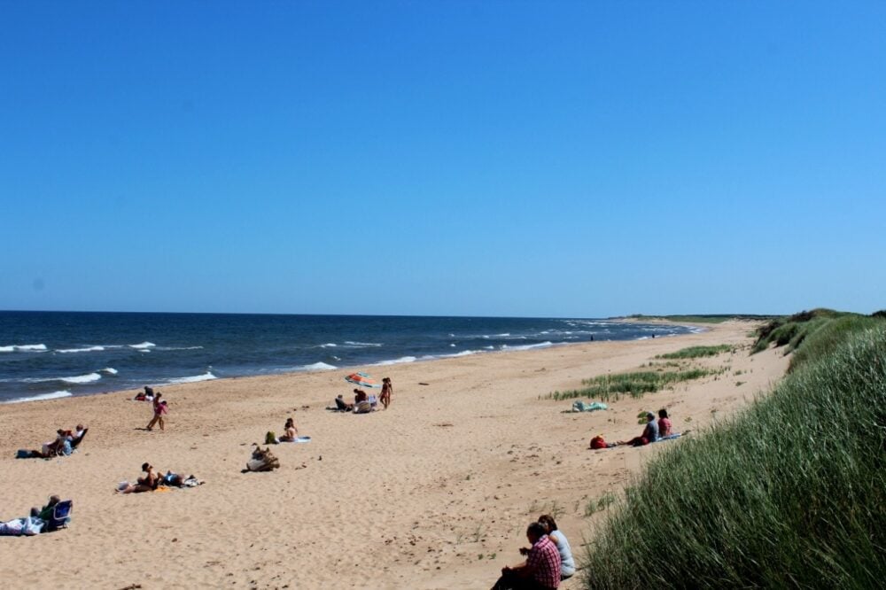 The white-gold sands of Greenwich beach, dotted with people