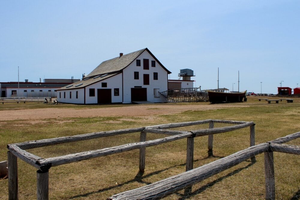 Rectangular racks for drying fish with large fishing buildings behind