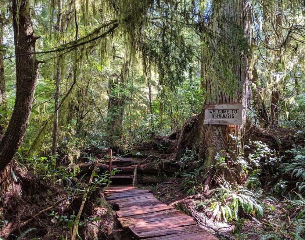 Boardwalk winding through old growth forest on Meares Island near Tofino. There is a wooden sign on a tree stating 'Welcome to Hilthuuis.' Moss hangs from the trees.