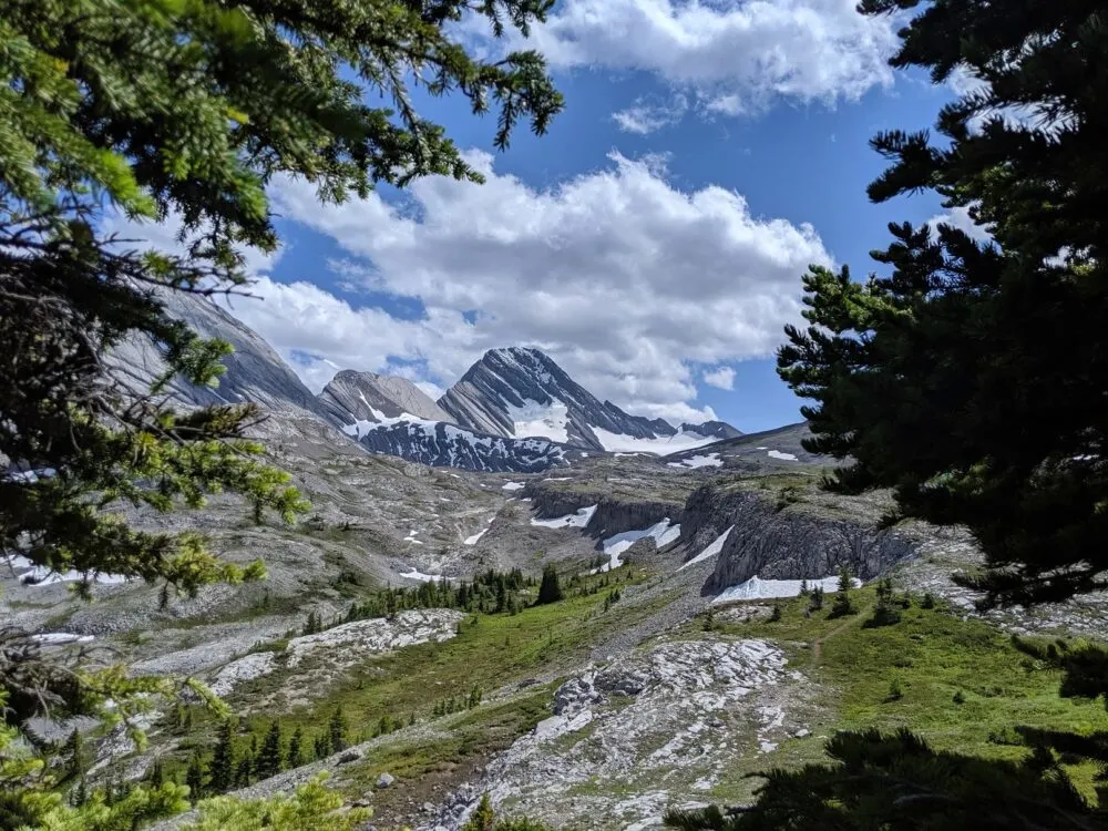 Peaks and alpine meadows, with spots of snow on the Burstall Pass trail