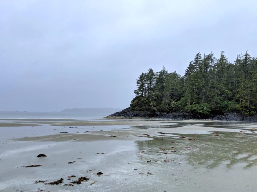 Sandy beach with forested headland and islands in background