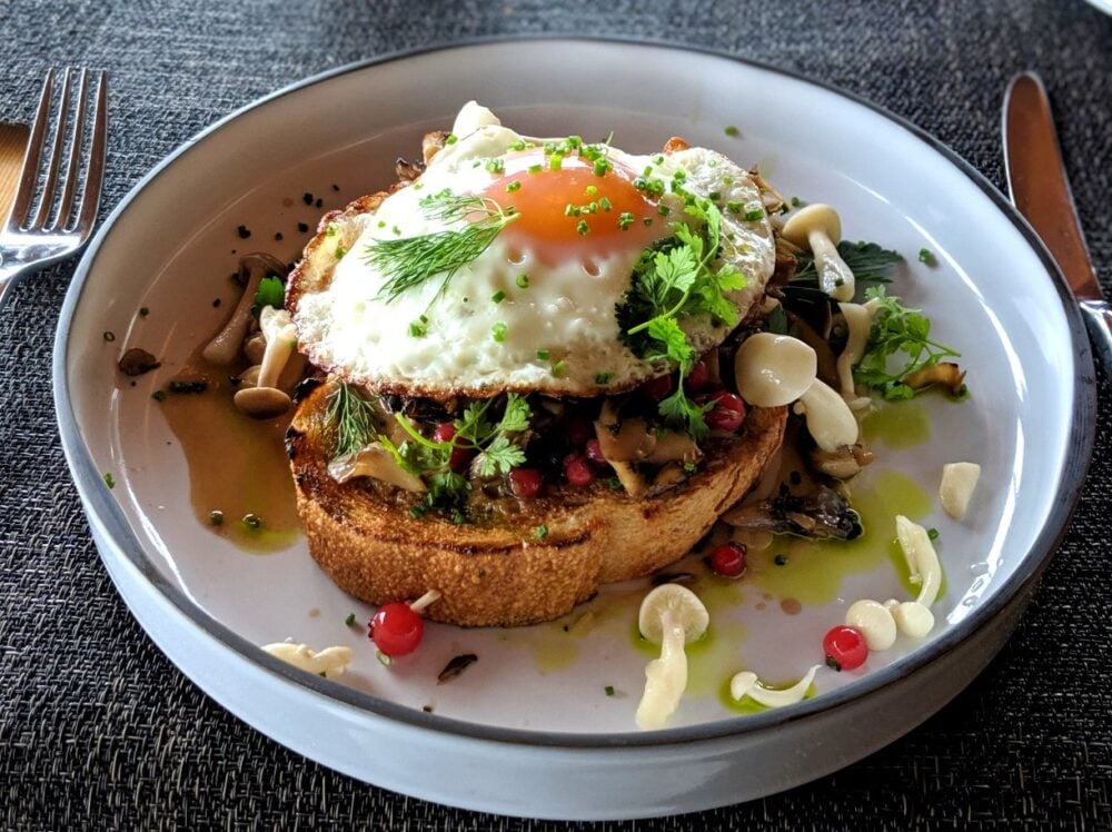 Large slice of toast topped with mushrooms and a fried egg, dotted with pink huckleberries