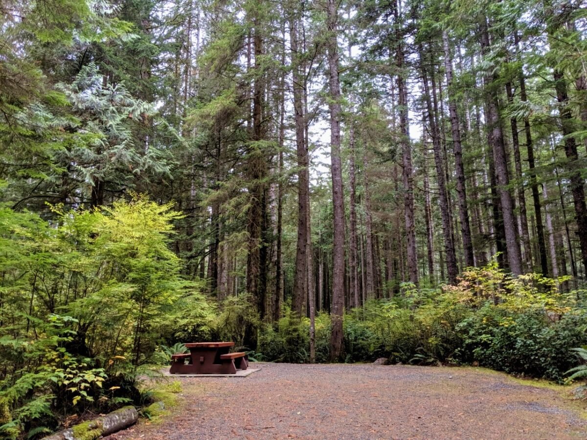 Campsite with picnic table surrounded by trees at provincial park in British Columbia