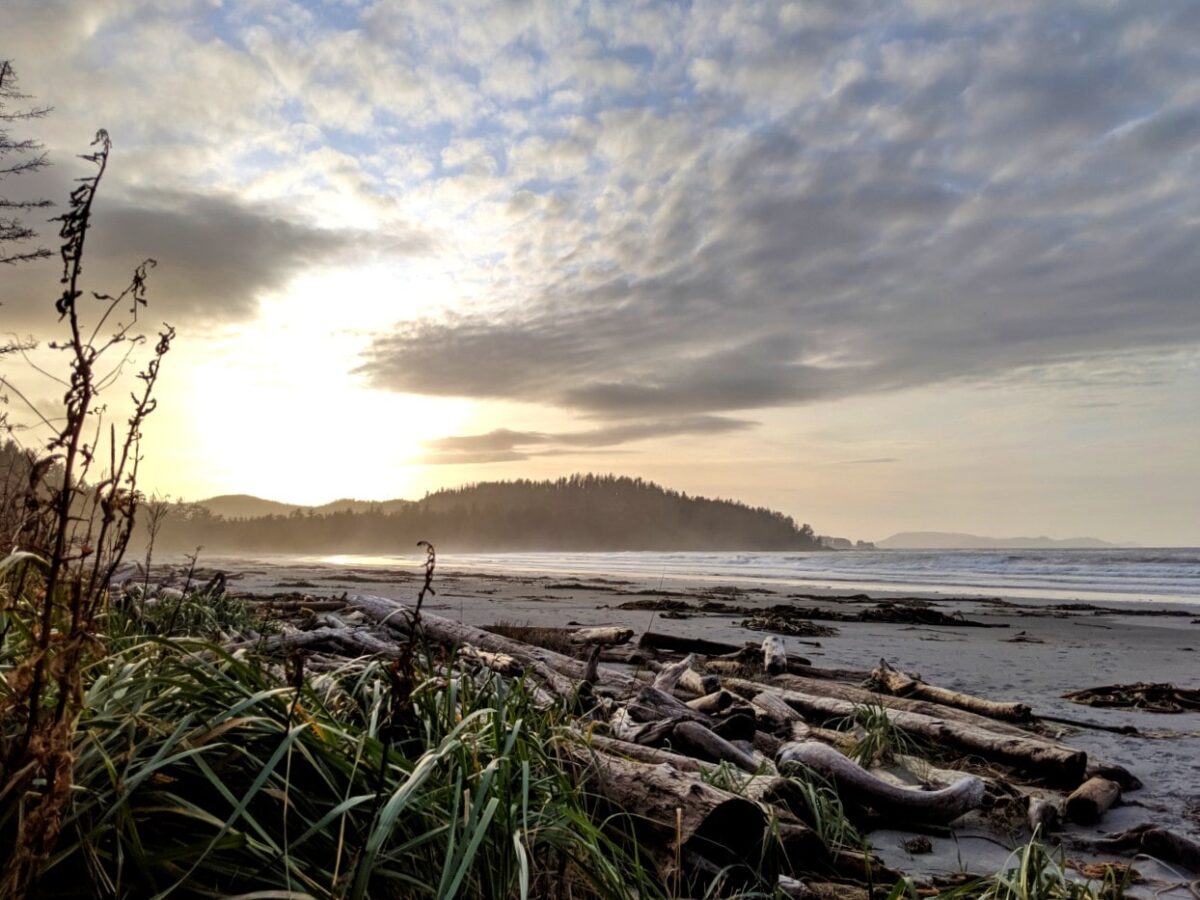 A driftwood strewn beach with sunset behind headland