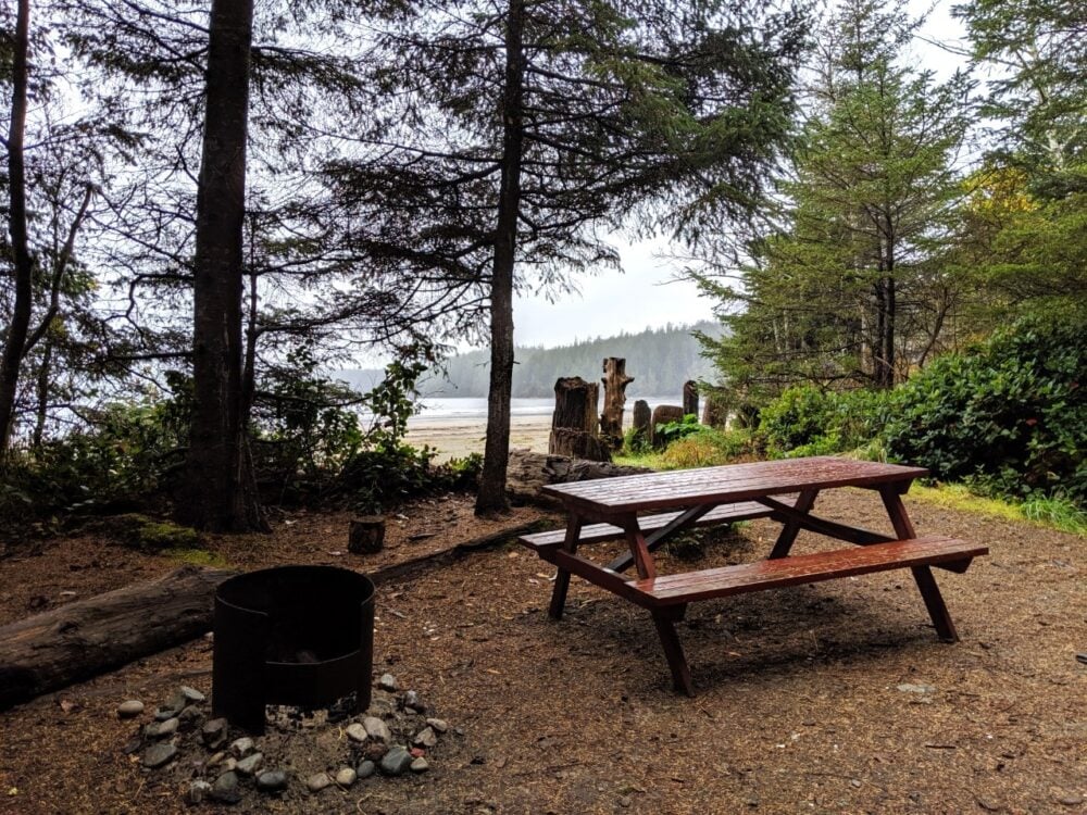 Picnic bench and fire pit in campground in front of ocean, slightly sheltered by forest
