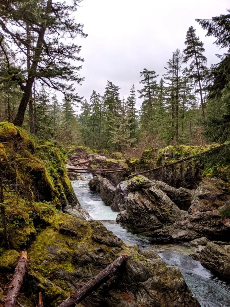 Mossy canyon with fast river running through it, multiple cascades