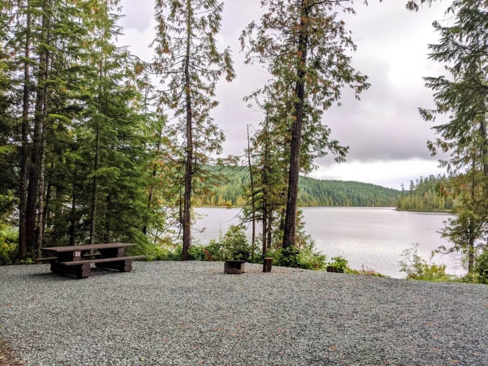 Campsite at Pacific Yew Recreational Site, with picnic table and fire pit in open gravel area, surrounded by scattering of trees and lake view in background
