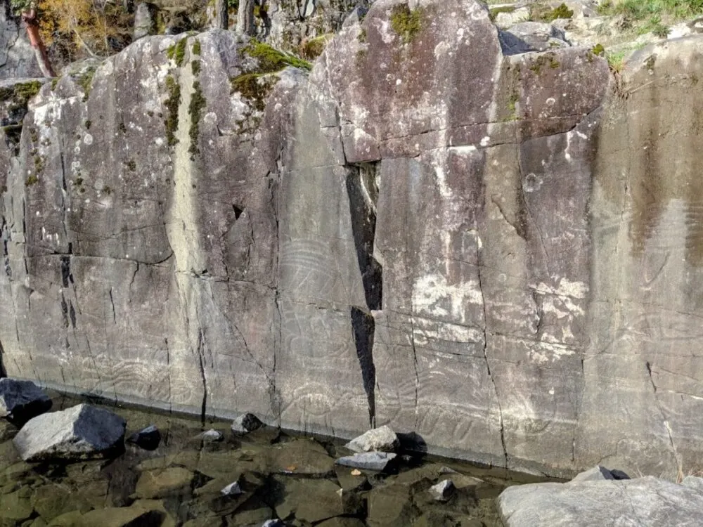 Mossy rockface in Sproat Lake with petroglyph carvings on surface, with low water level below