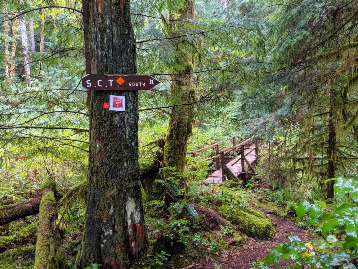 Hiking path with bridge in background and tree in foreground with 'SCT south' sign