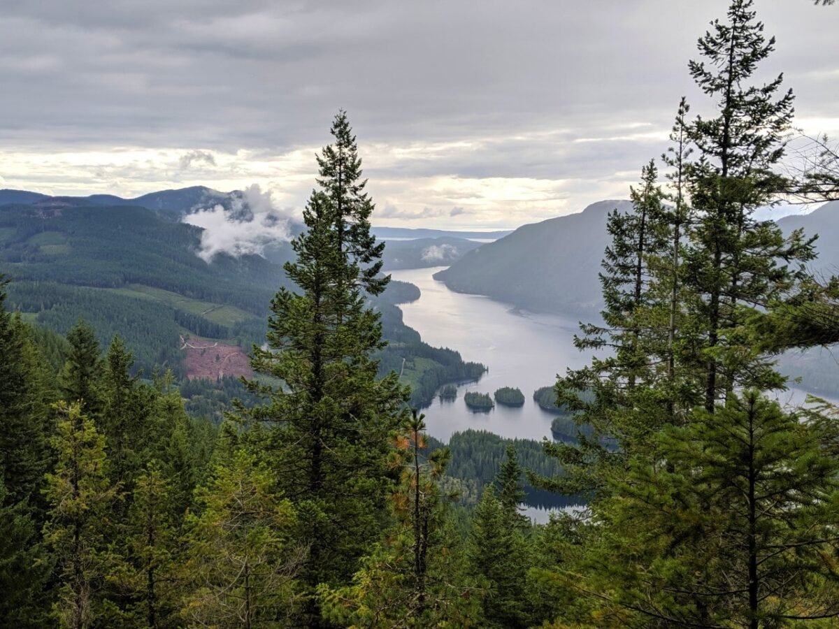 Glimpse of lakes and islands through trees on the way up to Tin Hat