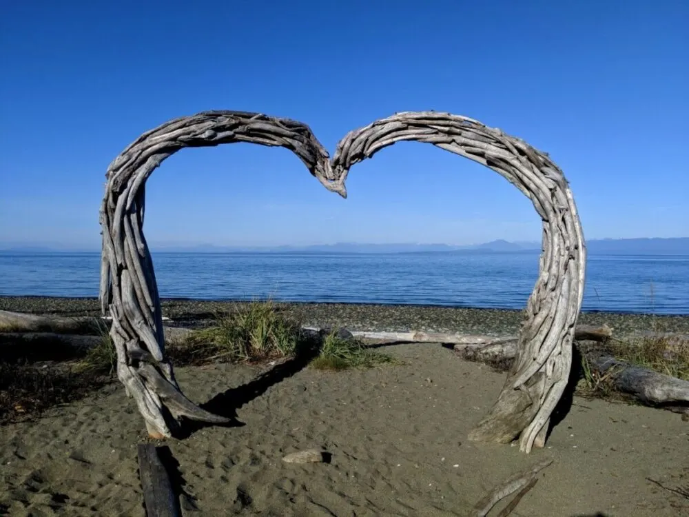 A heart shaped driftwood sculpture on sandy beach with ocean and mountains in background