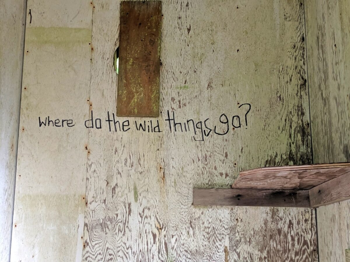 Cabin wall with 'Where do the wild things go' written 