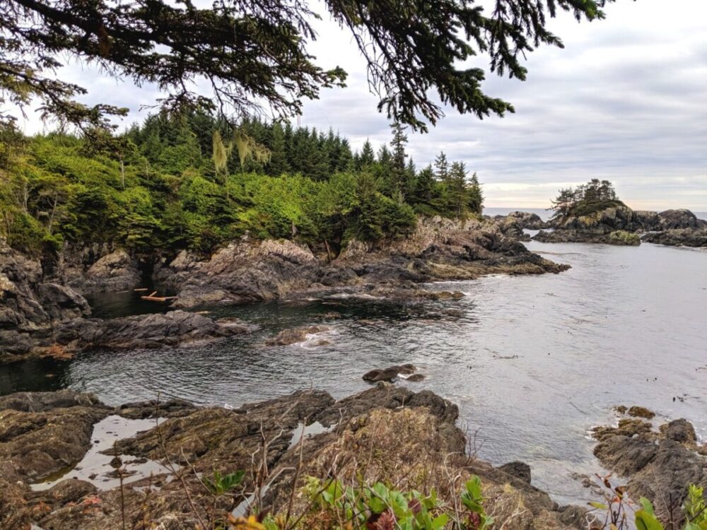 Looking through the trees to rugged coastline in Ucluelet on the WIld Pacific Trail