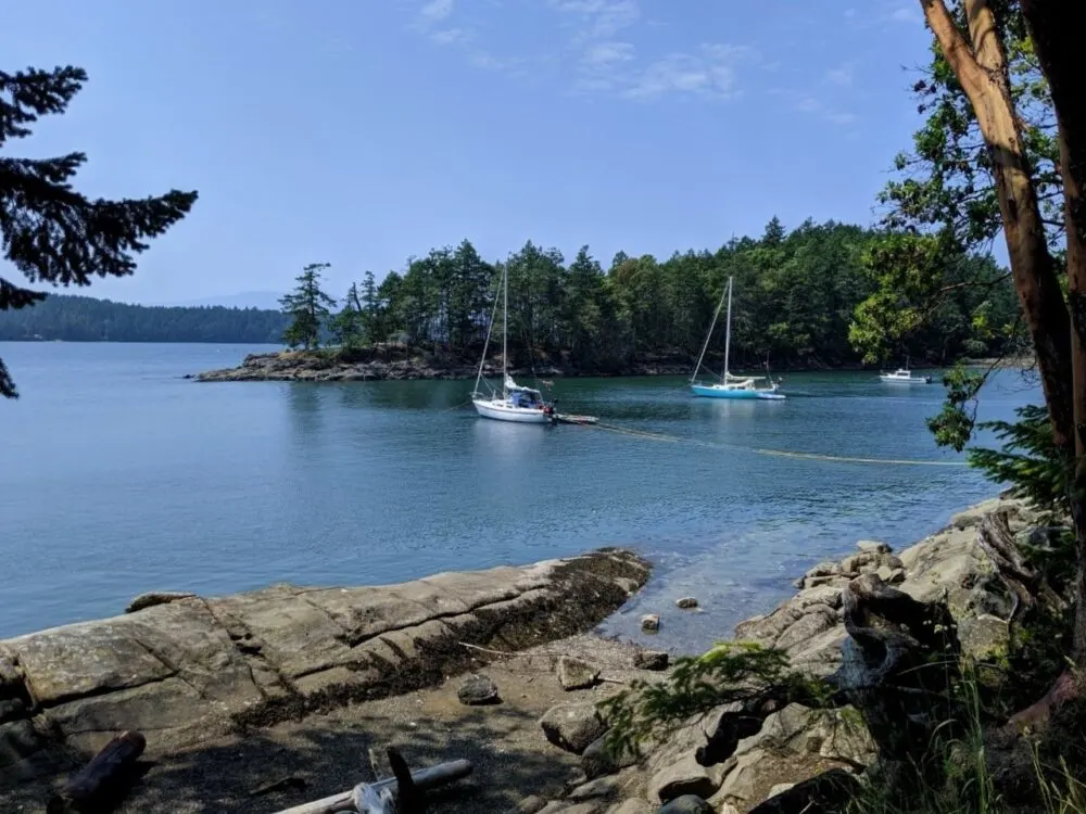 Rocky coastline of Conover Cove with boats moored 