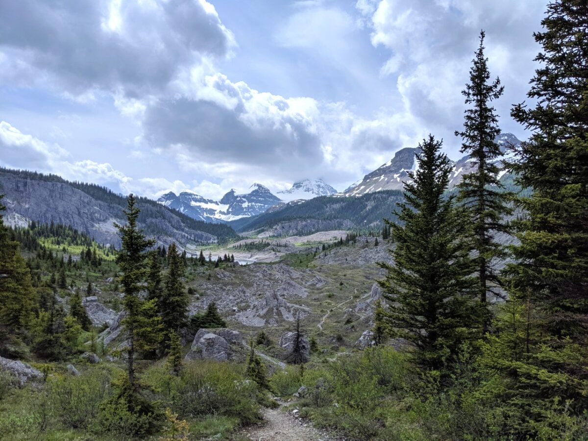 Trail leading through field of rocks in Mount Assiniboine Provincial Park