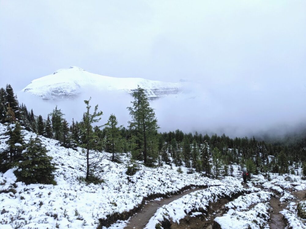 Multiple dirt trails heading downhill surrounded by snow covered landscape and a snow covered mountain appearing out of clouds above