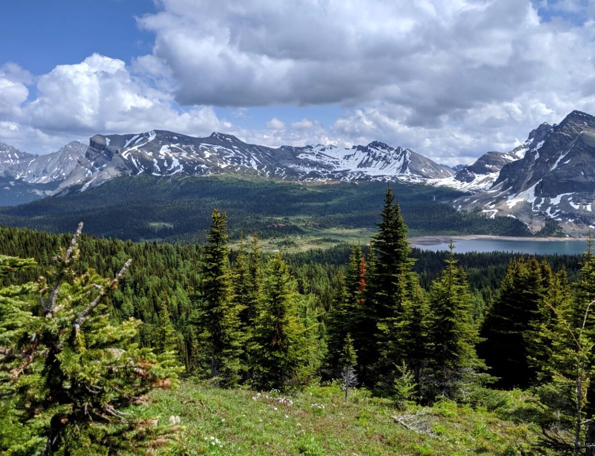 Snow capped mountains and a lake, behind forest