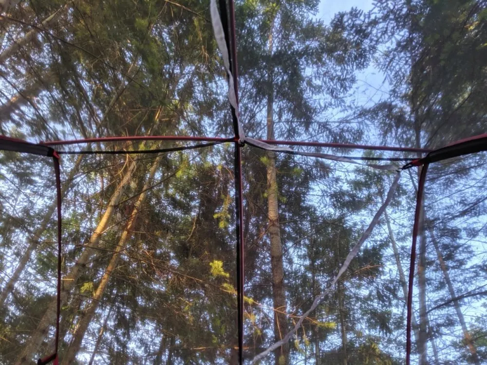 Looking up to trees through see-through tent structure