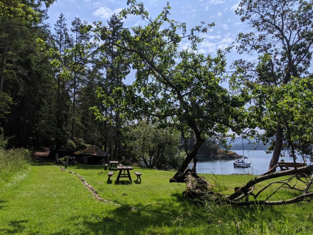 Picnic tables and shady trees in green field in Conover Cove