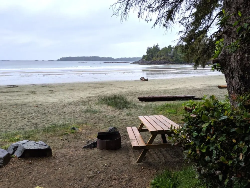 Picnic table and fire pit at campsite set behind sandy beach with ocean beyond