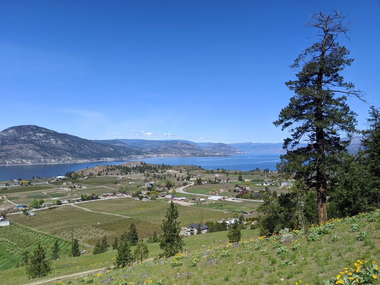 74 Things To Do In Penticton and the Southern Okanagan, British ...