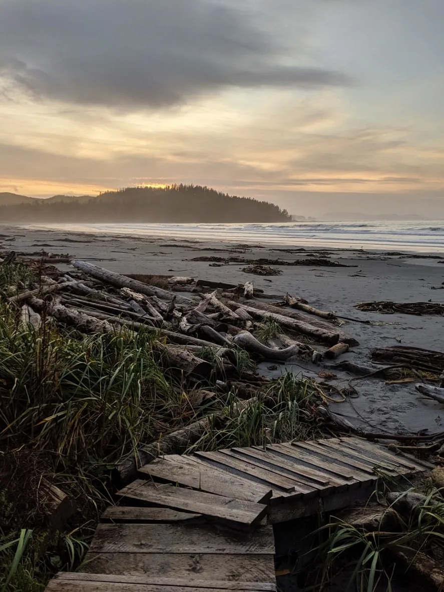 Boardwalk path leading down to sandy beach in Cape Scott Provincial Park, photo taken at sunset