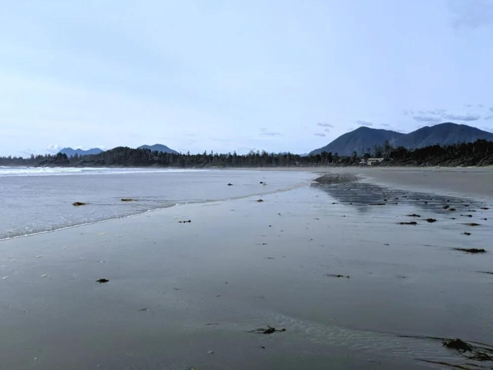 Beach view in Tofino with ocean lapping on sandy beach and forested mountains in background