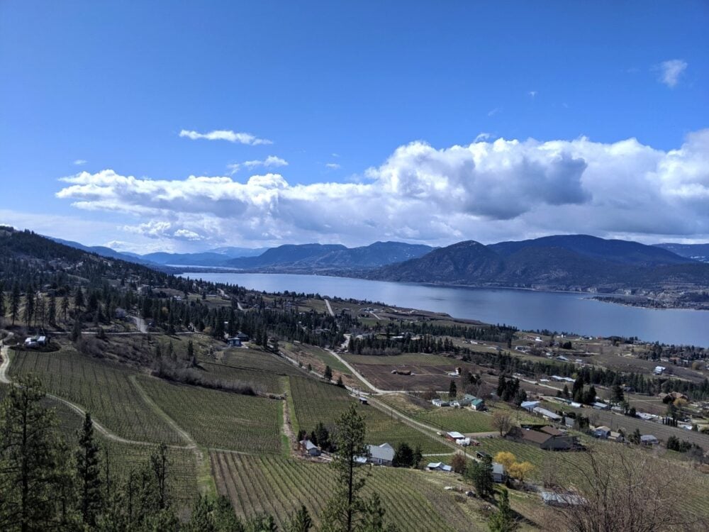 Elevated view looking down on the vineyards of the Naramata Bench, with Okanagan Lake and surrounding mountains in the background