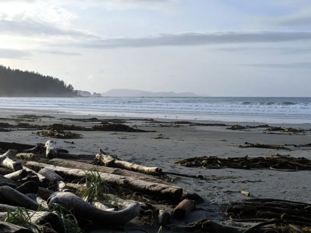 Looking across horizontal driftwood to sandy beach in front of Pacific Ocean with waves rolling in