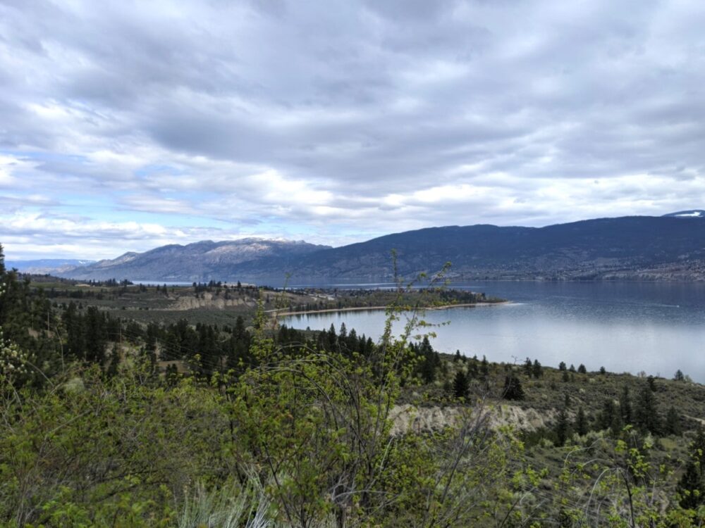 Elevated lakeshore views from the KVR Trail, one of the best things to do in Summerland