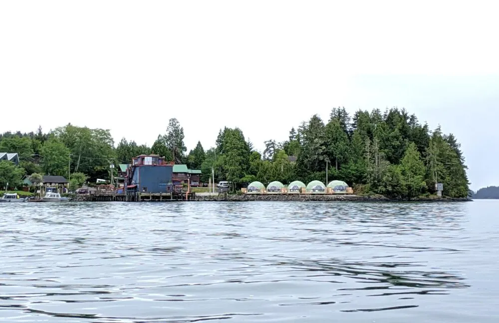 View of WILDPOD geodesic domes on shore from the water, surrounded by forest