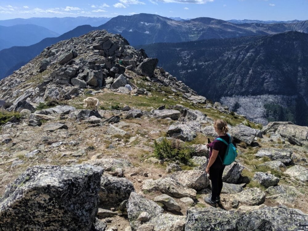 Gemma standing and looking at a mountain goat on a rocky ridge near Gimli Peak, Valhalla Provincial Park