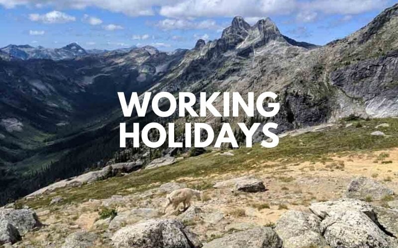 working holidays