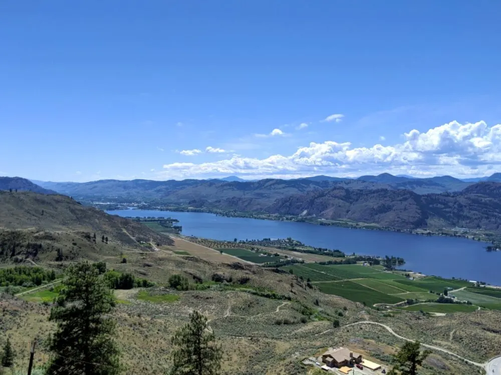 Elevated viewpoint looking down on lake surrounded by vineyards in Osoyoos