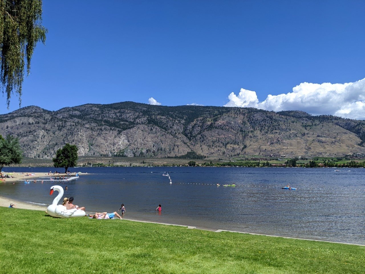 Osoyoos Lake shore with people swimming and grass border