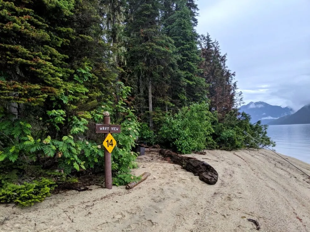 Sandy beach with wooden Wavy View sign and driftwood. Calm Murtle Lake is visible at the edge of photo with mountain backdrop