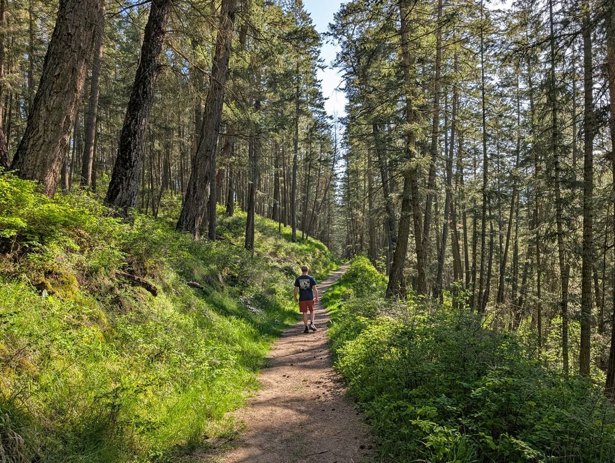 Back view of JR hiking on a dirt path in the forest, Thomas Hayes Ecological Park
