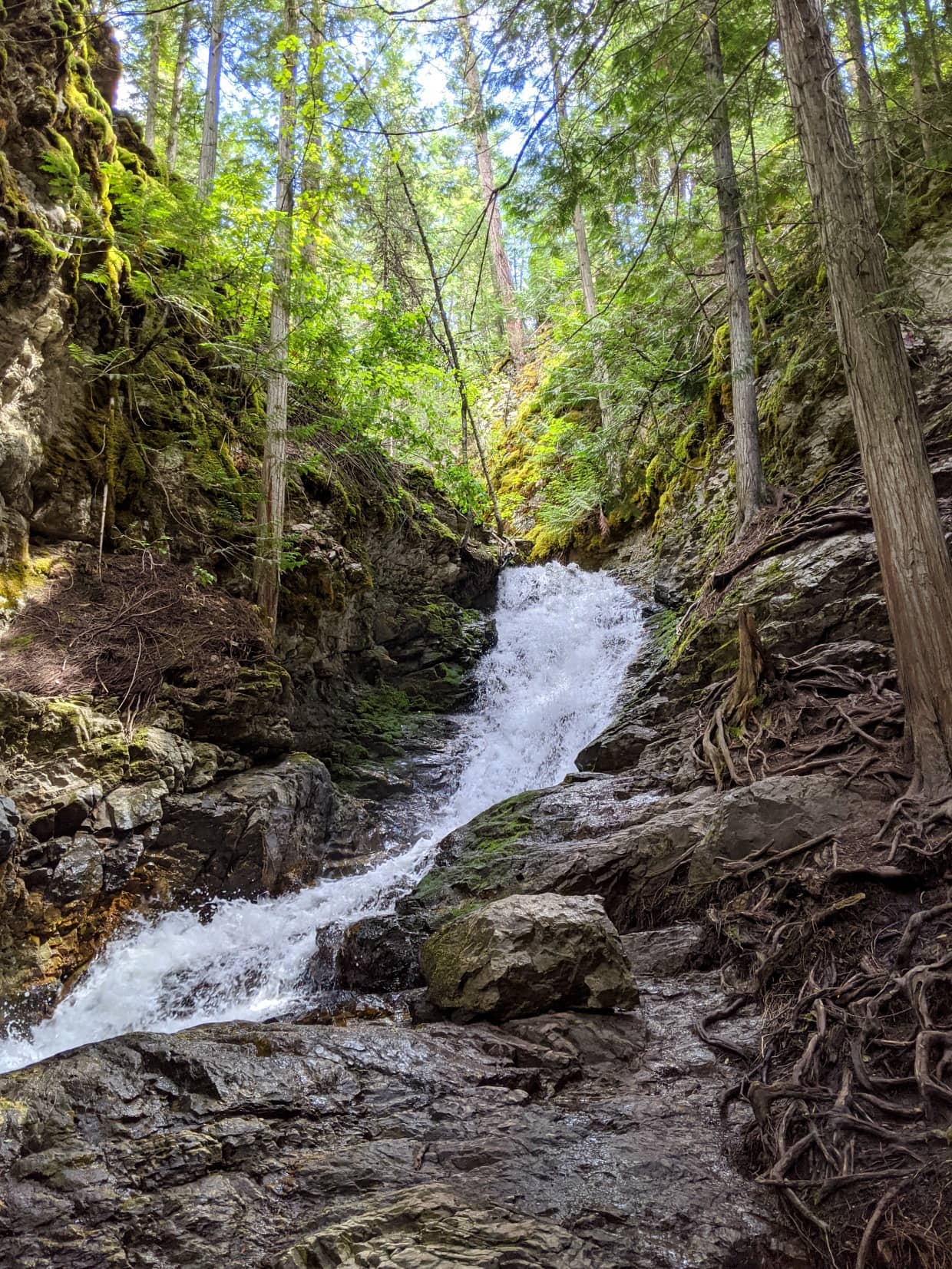 BX Falls cascading down small canon with tree roots