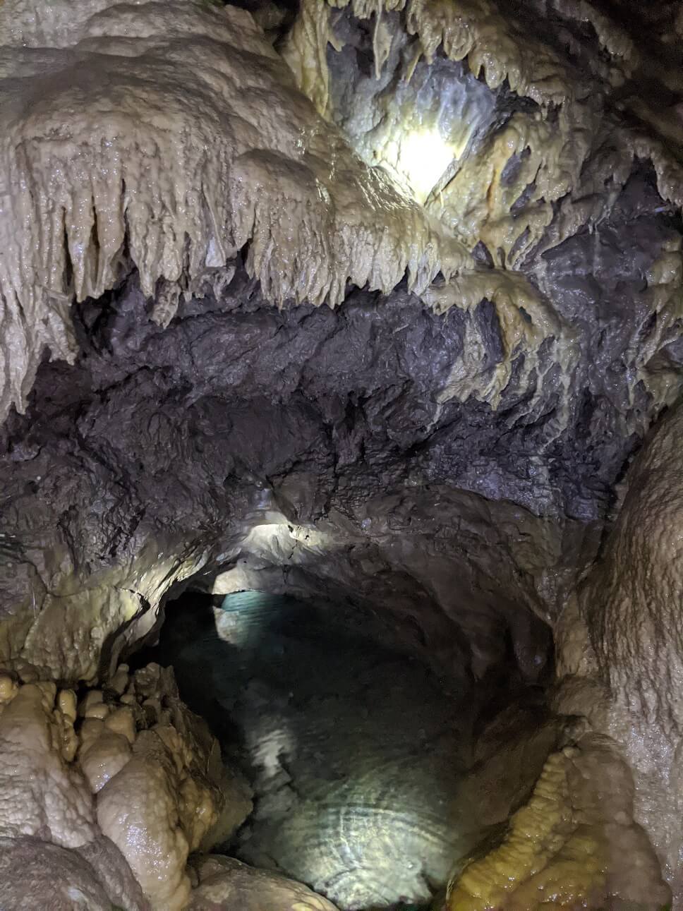 Low lighting view of light coloured cave formations above clear pool in Rat's Nest cave system near Canmore