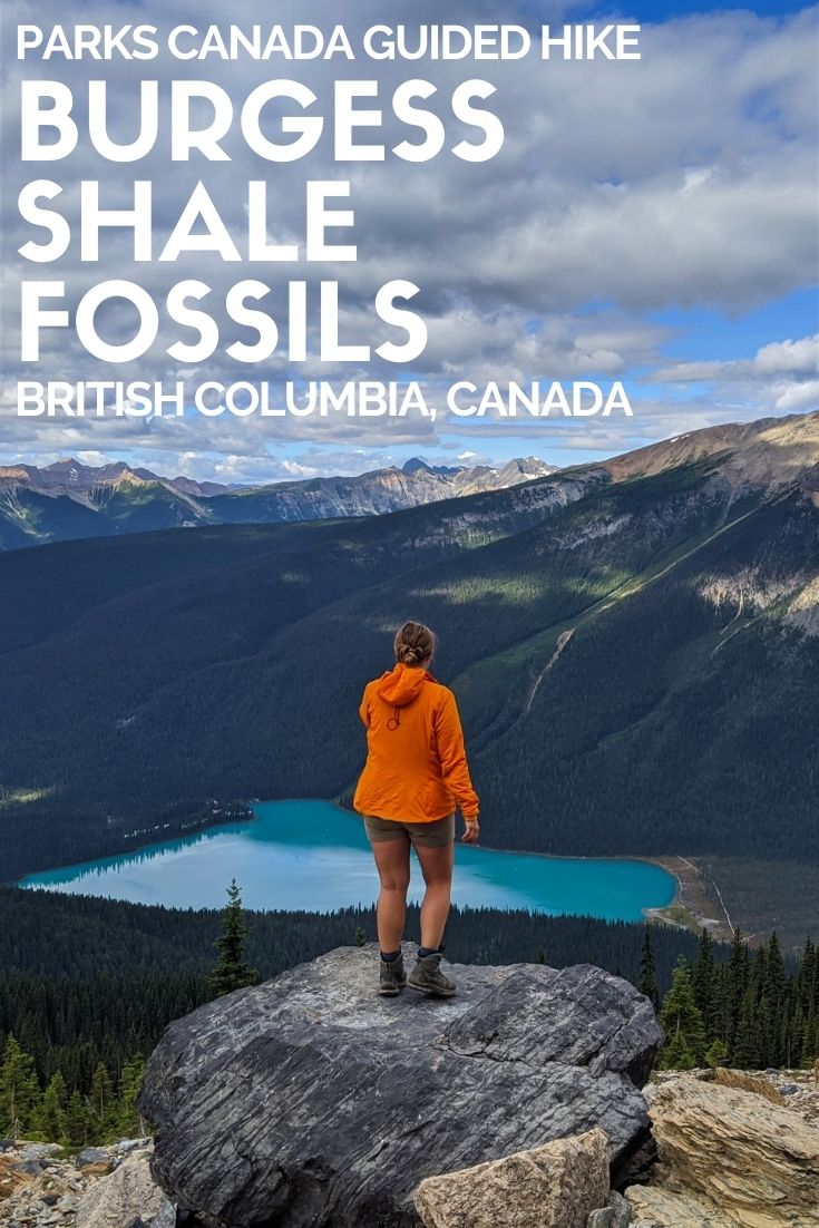 Ever wanted to hunt for and hold 500 million year old fossils? Get your chance in Yoho National Park in Canada! Click here to discover everything you need to know about joining a Park Canada guide hike to Walcott Quarry to see the Burgess Shale