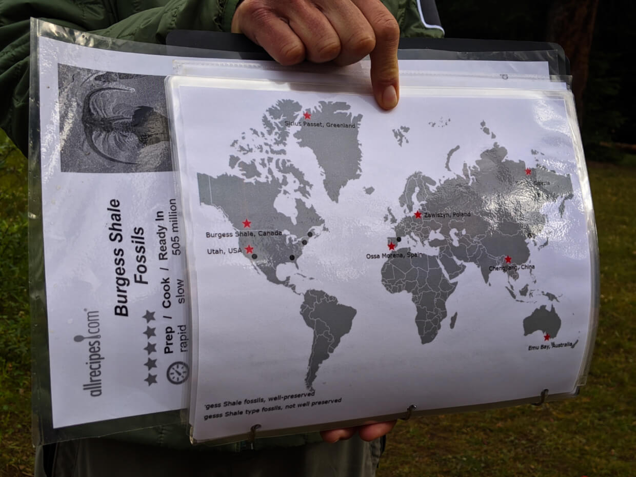 Ardele demonstrating the location of other Burgess Shale-like fossil sites with laminated world map