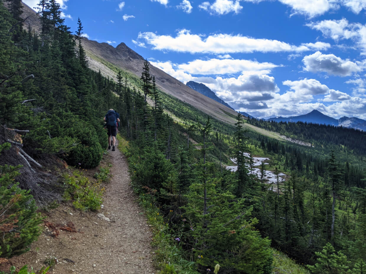 Hiking trail with hikers ahead, with small trees lining the trail and mountains ahead